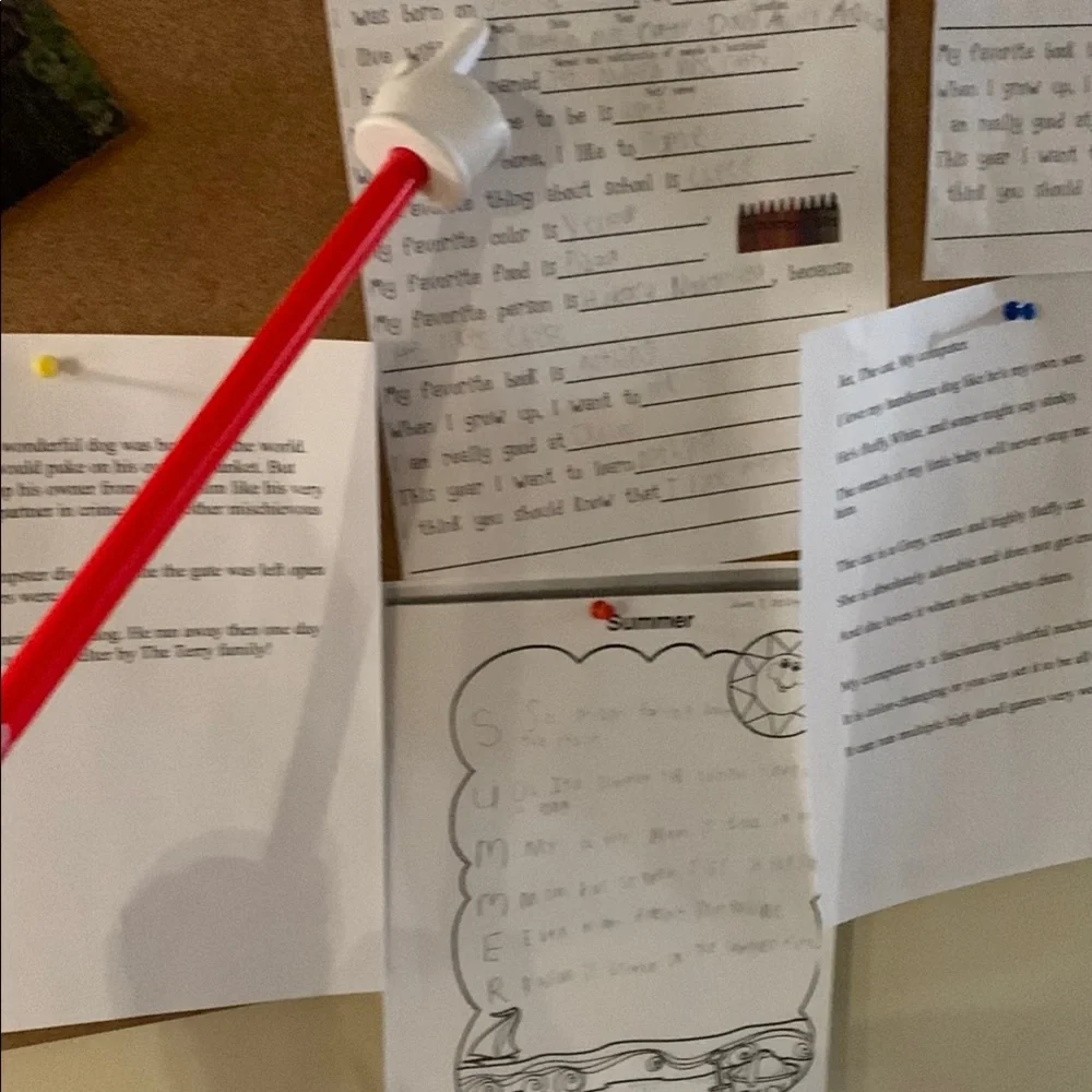 Red Pointer Stick - Picture 10 of 11